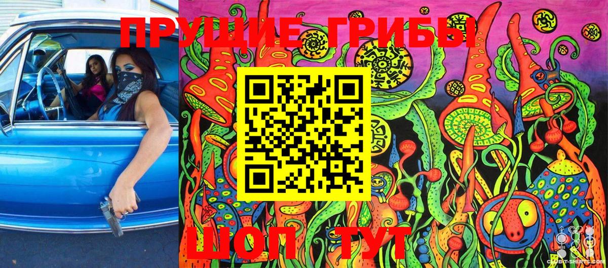Галлюциногенные грибы GOLDEN TEACHER  Псилоцибиновые грибы Magic Shrooms  Губаха  Вход с VPN 