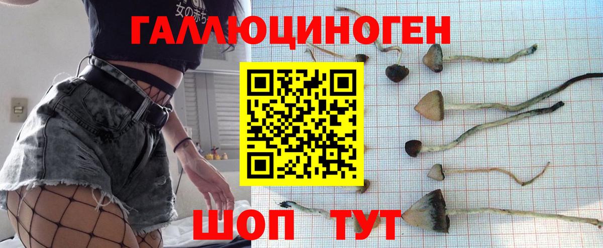 Галлюциногенные грибы мухоморы Губаха