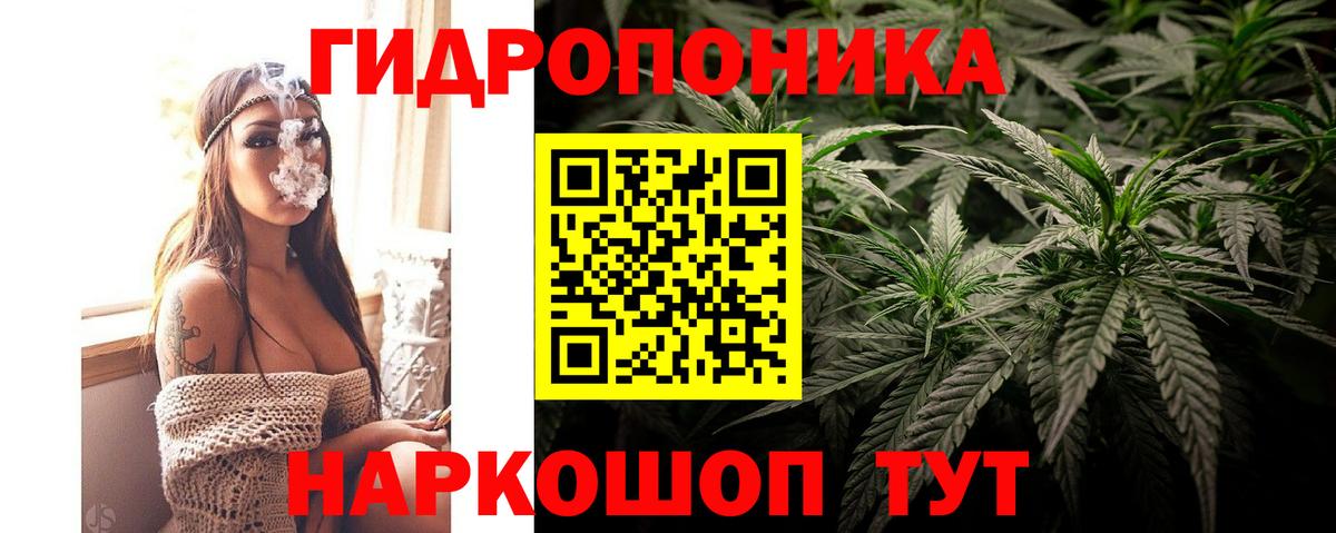 Бошки марихуана ГИДРОПОН Губаха